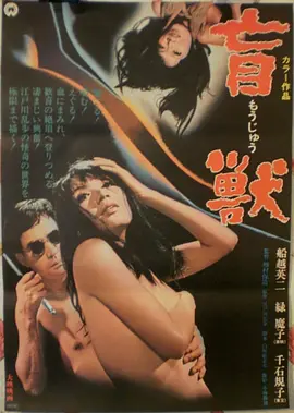电影：速度与激情